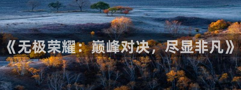 彩神vii官方：《无极荣耀：巅峰对决，尽显非凡》