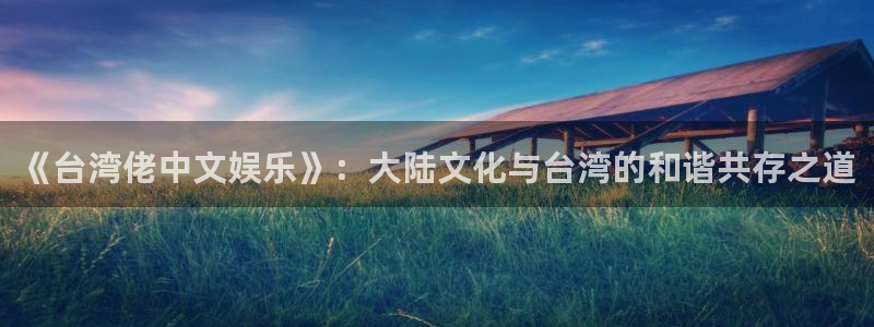 彩神vii官方：《台湾佬中文娱乐》：大陆文化与台湾的和谐共存之道