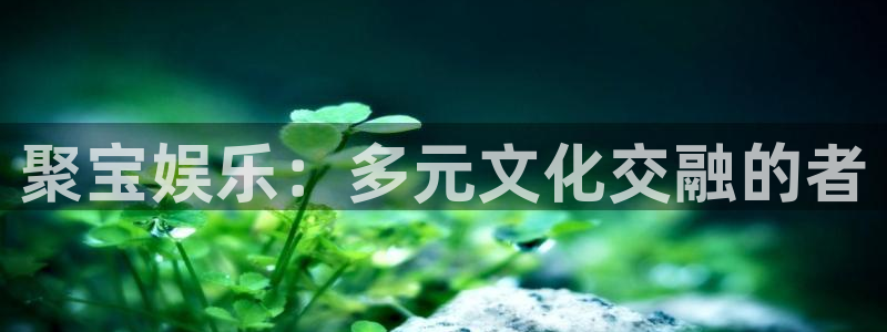 彩神vii官方：聚宝娱乐：多元文化交融的者